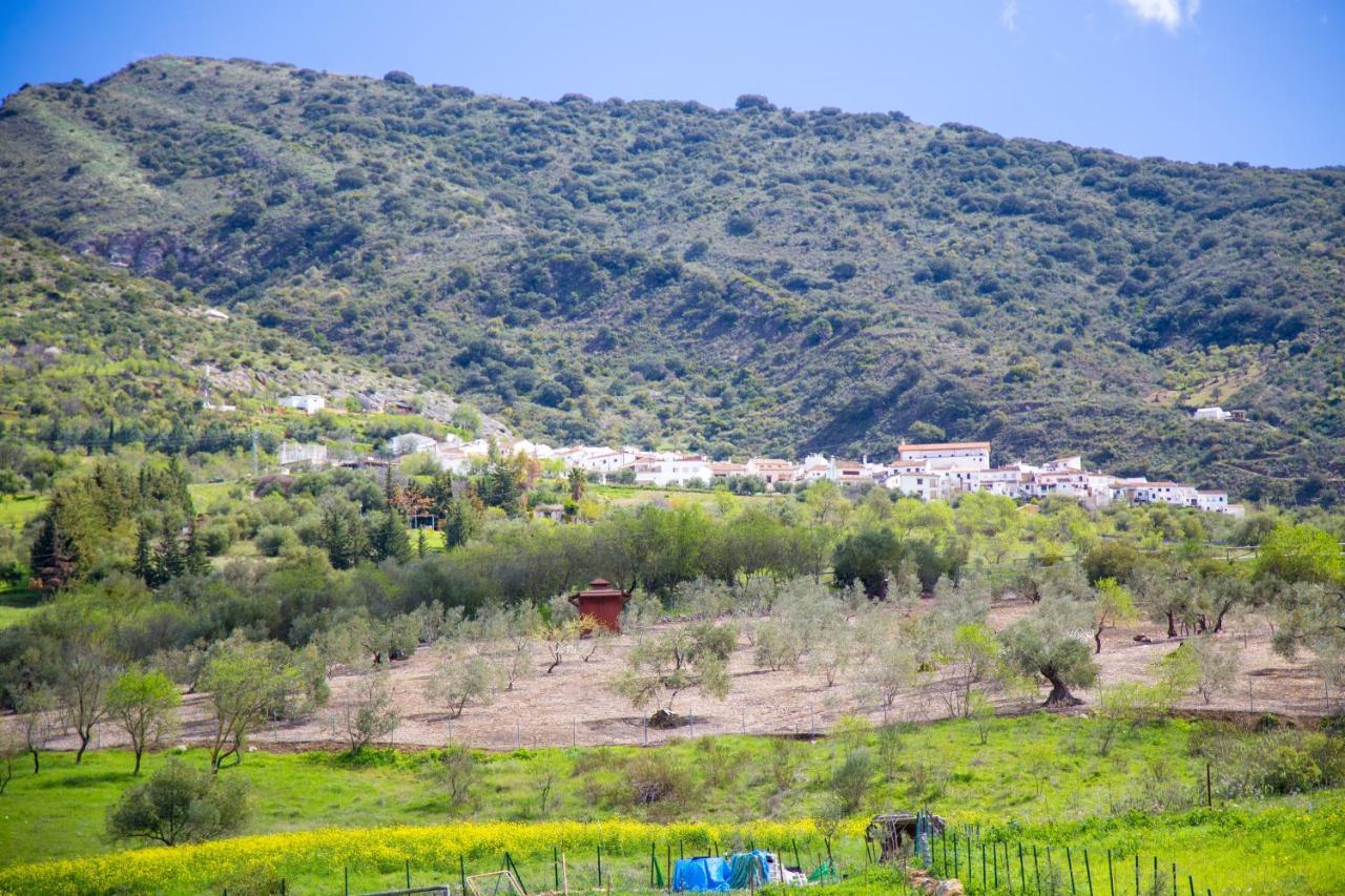 Hotel Rural Inz-Almaraz Jimera de Líbar المظهر الخارجي الصورة